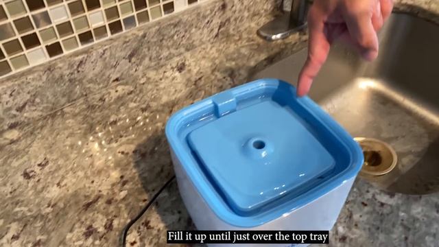 Veken Pet Fountain 2.5L | Review & How To | Link to buy in description! смотреть онлайн