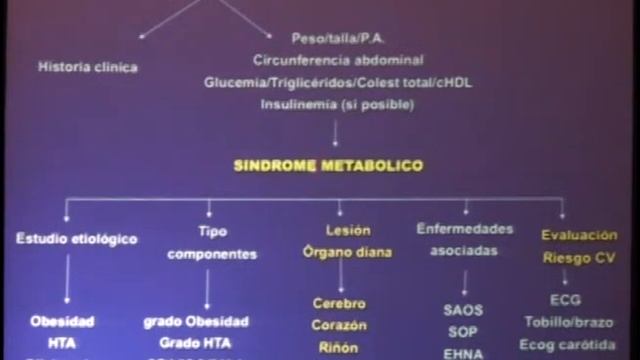 14 DR ALBERTO MARTINEZ CASTELAO SINDROME METABOLICO Y ENFERMEDAD RENAL CRONICA смотреть онлайн