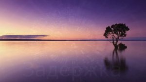 Дыхание по квадрату. 4 - 4 - 4 - 4 секунды. Длительность 5 минут.