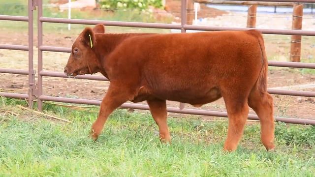 Vickland :: Tag 53 смотреть онлайн