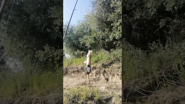 Рыбалка на Иртыше смотреть онлайн