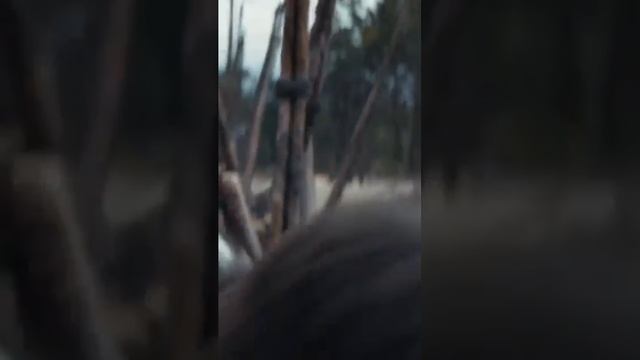 Засада на мосту😰Планета обезьян# Новое царство #Кино #Фильм #shorts_44