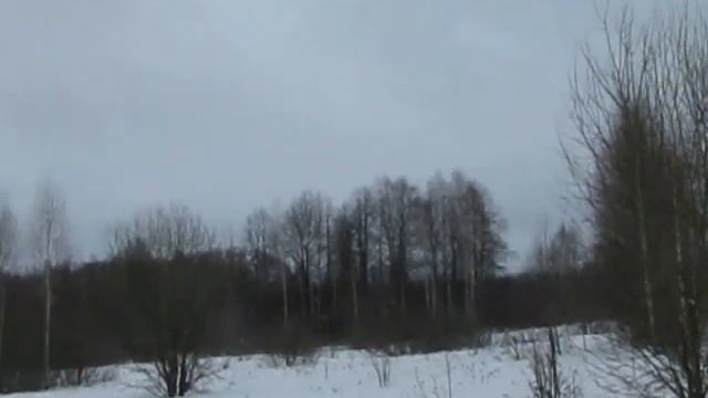 Из прогулок по зимнему лесу. Вылет тетеревов из под снега. смотреть онлайн
