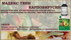 Мадекс Твин и Карповирусин - биологические инсектициды против плодожорки на яблоне и персике. Обзор