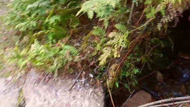 Desi Atta Chakki amazing old technology || Garaat | jammu and kashmir | lifestyle | atta chakki || смотреть онлайн