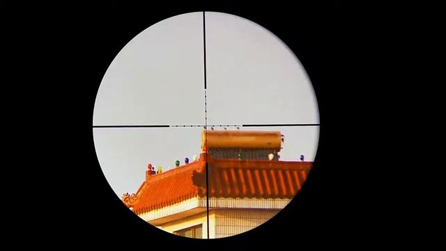 DIANA 6-24x42 AO Tactical Riflescope Mil-Dot