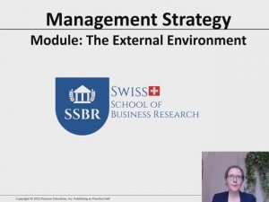 Strategic Management 8 External Environment