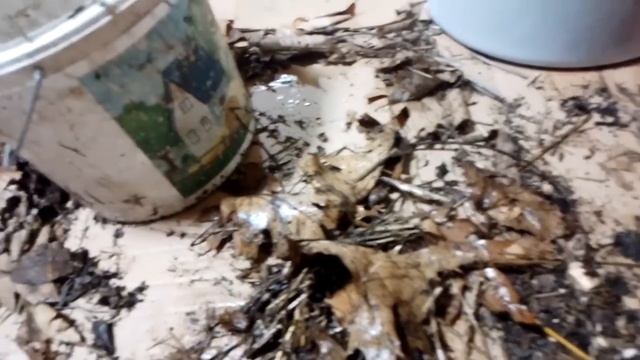 Почему в Природе растения не жируют? №480/24 смотреть онлайн