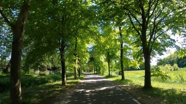 Bike ride from Utrecht to Houten - Gopro hero 8 and magnetic swivel clip - смотреть онлайн