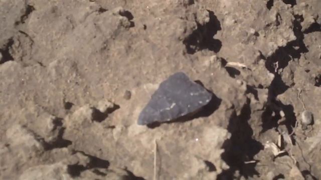 Arrowhead Hunting NM смотреть онлайн