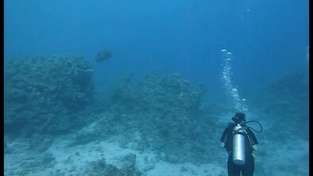 Diving in Sharm el Sheikh 2010 смотреть онлайн