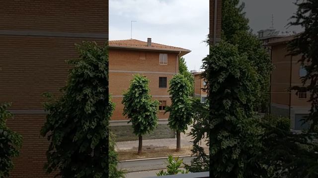 Цикады поют свои песни под нашим окном смотреть онлайн