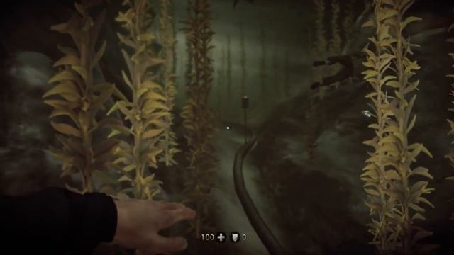 Wolfenstein New Order тайный ход смотреть онлайн