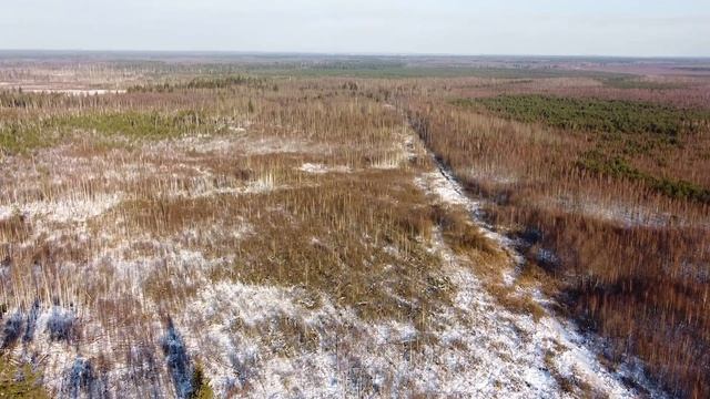 Зимний поход через болота смотреть онлайн
