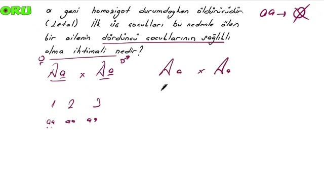 10. SINIF-KALITIM-MENDEL GENETİĞİ-ÇAPRAZLAMALAR смотреть онлайн