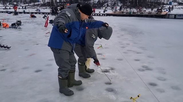 18-01-2025 смотреть онлайн