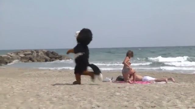 BEST CUBE #2 смотреть онлайн