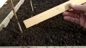 Универсальный способ полива  подкормки томатов и др.