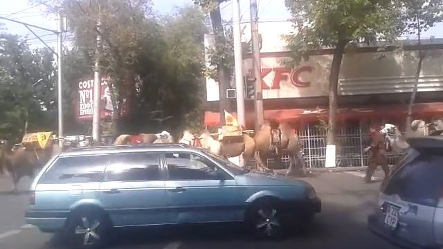 Жибек жолы. Алматы смотреть онлайн