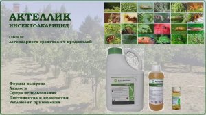 Актеллик - мощное, но устаревшее средство от садовых вредителей и клещей. Обзор инсектоакарицида