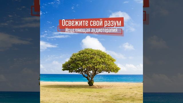 Урок медитации смотреть онлайн