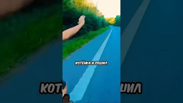 Спас котёнка #cat #automobile #animals #животные #funny #toca #tocalife #юмор #пп #кот смотреть онлайн