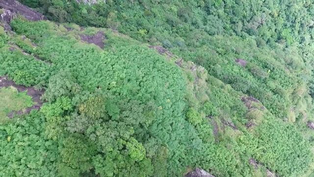 MT. Pico De Loro aerial shots dji смотреть онлайн