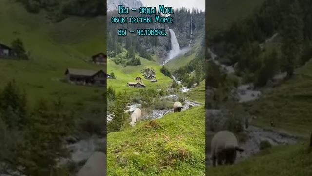 путь христианина(1) смотреть онлайн