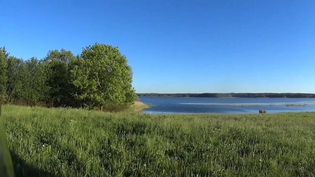 Honda ST1100 trip смотреть онлайн