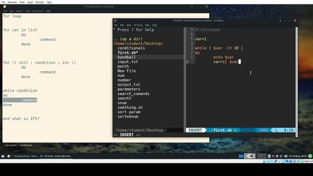 Linux Shell Scripting : while loop смотреть онлайн
