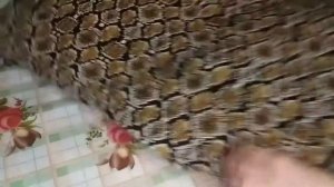 Пора кардани куртаи какеткадор.