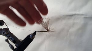 How to tie extended bodies for mayflies - Made by Matthias Dibiasi