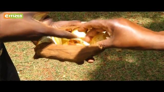 Smart Farm: Kola Nut Farming смотреть онлайн