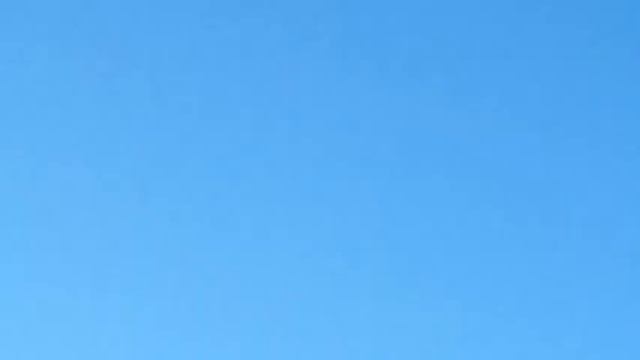 Голуби широкохвостые 2 смотреть онлайн