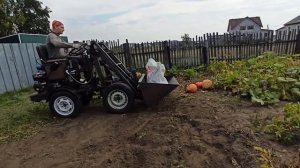 Вывозим урожай тыквы и ботву с огорода. Жизнь в деревне