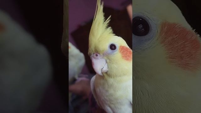 🥰 смотреть онлайн
