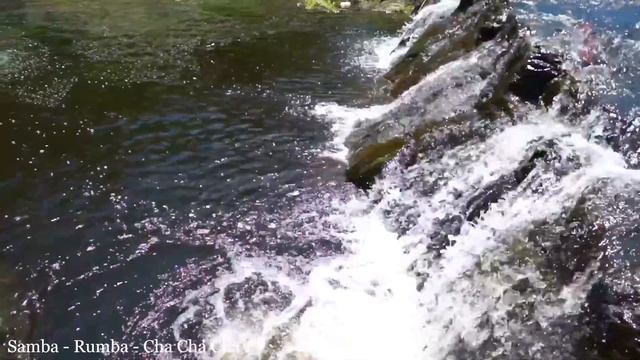 Beautiful Spanish Guitar Music - Super Relaxing Rumba - Mambo - Samba Latin Music  Best Guitar Musi