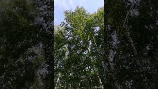 24 июня 2023 г. смотреть онлайн
