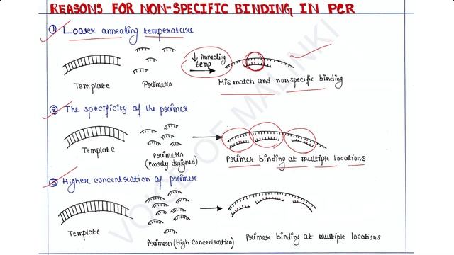 Reasons for non specific binding in PCR | PCR Lecture series смотреть онлайн