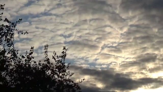 Не веселый вечер.сборник футажей. смотреть онлайн
