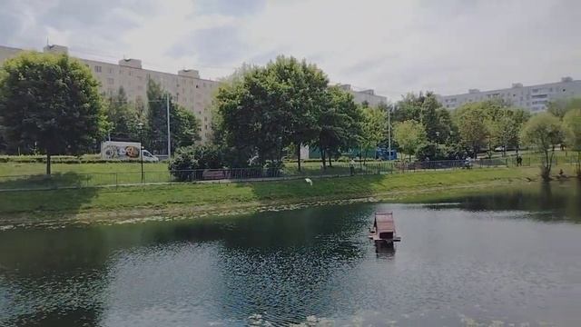 галки чайки голуби смотреть онлайн