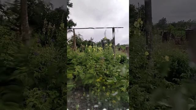 24/06/2022. Конвективные дожди. Time-lapse. Температура воздуха +23°С. Львовское, Северский район. смотреть онлайн