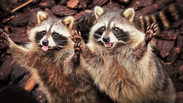 ✔ *АрхиСРОЧНО* «Нежданное вторжение Третьей Силы !» смотреть онлайн