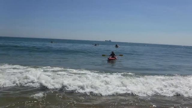 6 30 2018 DOLPHIN ADVENTURE WED 9 AM 28 смотреть онлайн