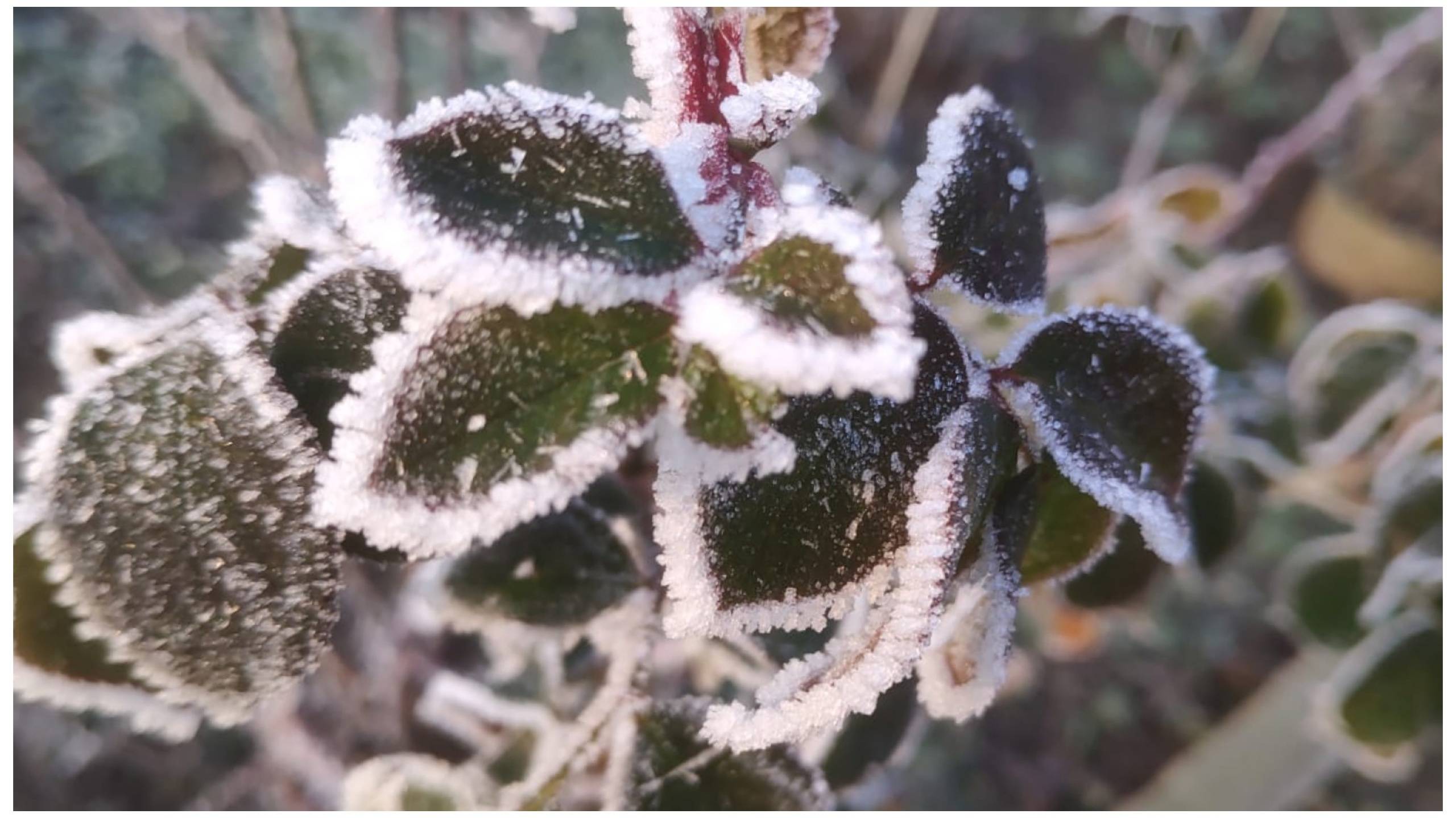 Позвони мне, позвони.Сбиты настройки, работы не будет. смотреть онлайн