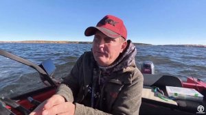 Китайский паноптикс решит проблему!