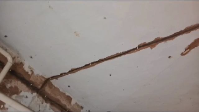 Ейск ! Работы в большом доме Алекснюея и Оли, мои дела, в гостях, полезные ГАД😂ЖЕ😂ТЫ😂 смотреть онлайн