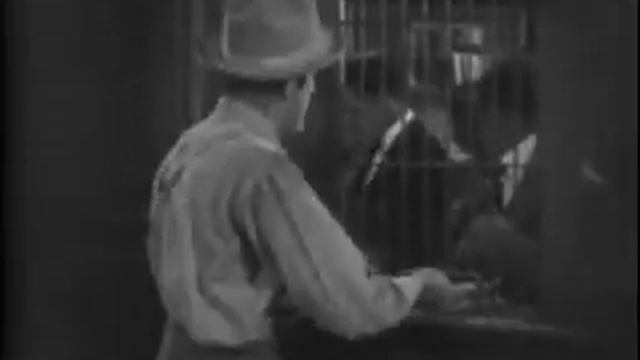 Scott Lord Silent Film: The Pride of Palomar (Frank Borzage, 1922) смотреть онлайн