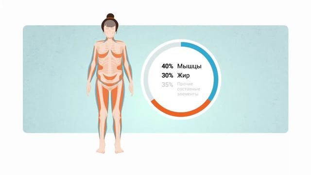 Состав тела Wellness Life смотреть онлайн