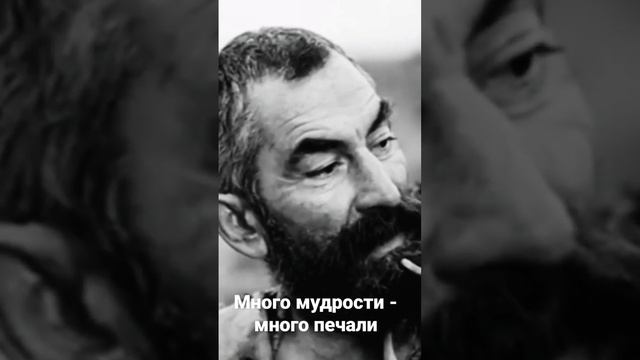 много мудрости - много печали смотреть онлайн